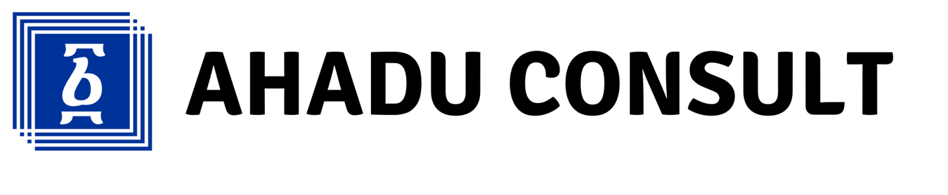 Ahadu consulting